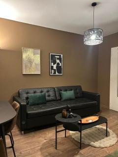 Hyper Center Strasbourg & Petite France Premium Apartment - 1