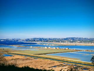 Lush Garden Hideaway FAMA near Portoroz - 5