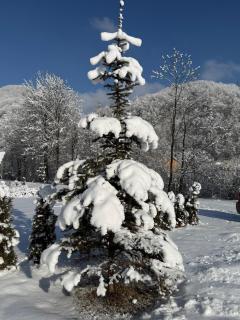 Котедж Трембіта - Сріблясті Водоспади - 1