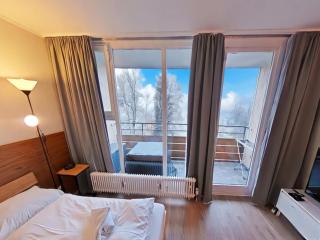 Appartement Serges mit Pool und Sauna in Freyung - Freyung - 8