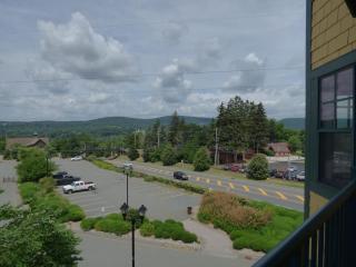 Premium New 1bd Sunset balcony 3rd flr - 5