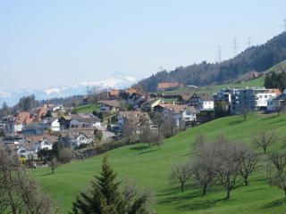Panorama Resort & Spa - Feusisberg - 4