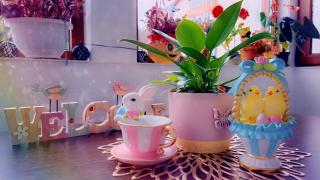 Little Bear Busteni 3 - 7