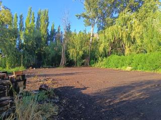 Hosteria y Cabañas Malloa - Naturaleza y Desconexión -  - 1