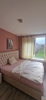 The Hague appartment - 8