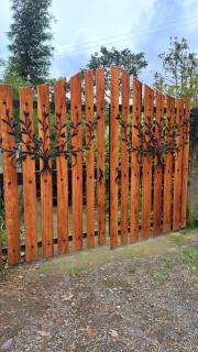 VÖRA Refugio en la selva húmeda y vista Panorámica - 8