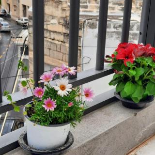 Room Studio 10 min Walk to Malta Airport - 4