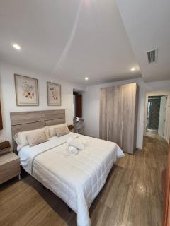 Suite con encanto junto a la Catedral - 1