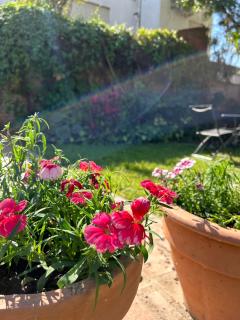 Casa Quinta en el centro - 7