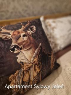 Apartament Stylowy Jeleń - 6