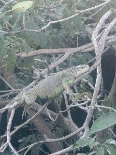 Luxury Beachside Resort - 7