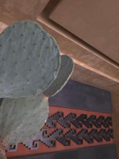 7 Casa Laurel Hotel Boutique - 8