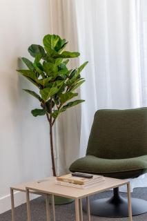 Hotel Comfort ,Ground Floor, City Apartment - 1