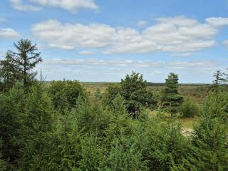 6 person holiday home in Hovborg-By Traum - 6