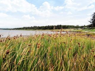 6 person holiday home in Farsø-By Traum - 1