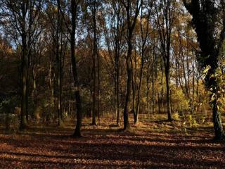 6 person holiday home in Kolind-By Traum - 1