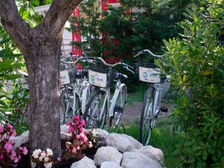 MobileHome im Ferienpark in Cologna Spiaggia - 1