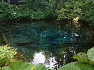 Guest house Lea lea - 4