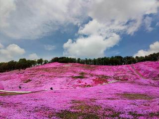 Guest house Lea lea - 7