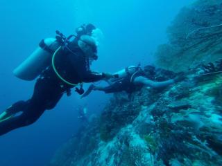 Arborek Homestay & Dive Center - 8