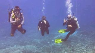 Arborek Homestay & Dive Center - 9