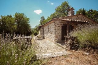 Agriturismo ASHA - 3