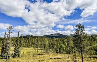 Lovely Home In Flå With Sauna - 9