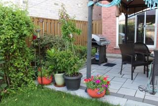 2 BR Basement Near GO Station- 30 mins to dwntwn TO - 9