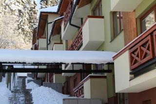 Pine Wood Apartment - Vyšné Ružbachy - 5