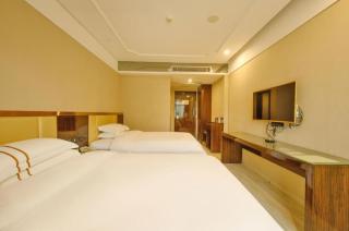 Vienna Classic Hotel Fujian Nanjing - Nanjing - 6