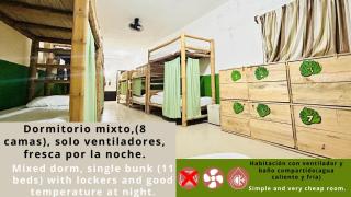 Hostal Pakal King - 6