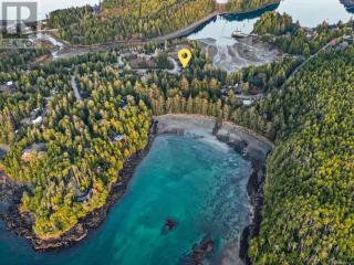 Coastal Rainforest Haven by Wild Pacific Trail - 2