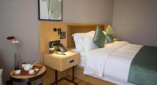 Green Tree Inn Hebei Handan Guantao County Weizheng Road - 2