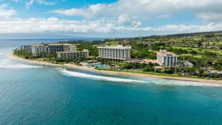 Hyatt Regency Maui Resort & Spa - 7