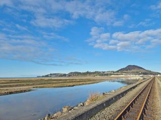 The View Snowdon Wharf - 5