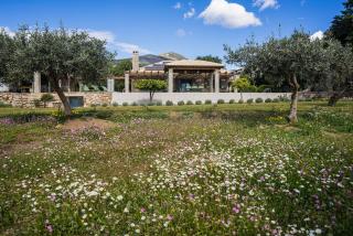 Βίλα Αοιδή - Galaxidi - 2