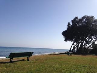 Studio vue mer - 0