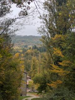 Ma che idea di Cistellini Matteo - 1