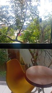 Jardim Secreto - 2