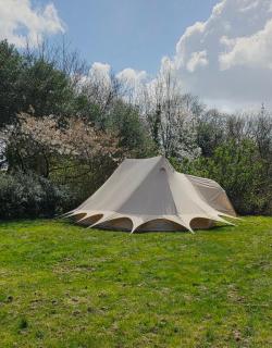 Lurley Woodland Stays - 9