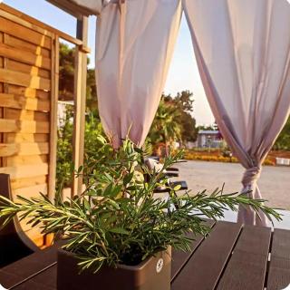 Depandace,Mirelisa - 6