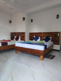 New planet guest - 0