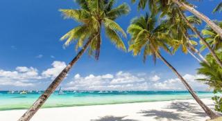 Tamaraw Beach Resort - 3