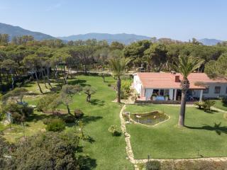 Villa Eura - 3