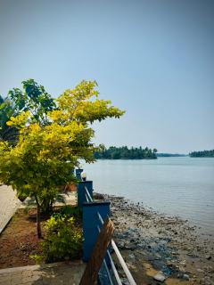 Stay by the Backwater - 6
