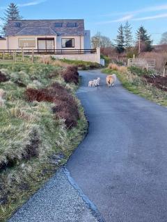 Skye Getaways Self Catering Accommodation - 7