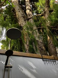 RIMU CABIN 16min drive to Kaiteriteri Beach - 7