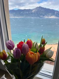 Il Balcone sul Garda chic apartment 130 mq - 7