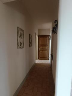 Tenuta L'Oliveta - 3