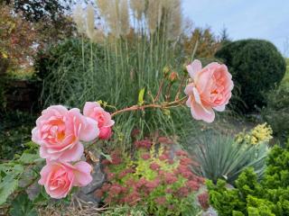 House with garden and pool near Namur - 1